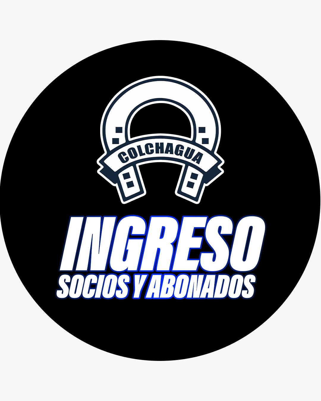 Ingreso Socios